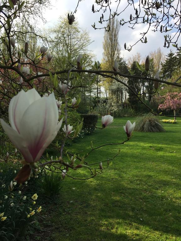 فندق Le Domaine Des Loups Souchez المظهر الخارجي الصورة